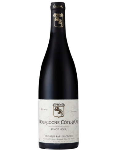 Vin Domaine Fabien Coche Bourgogne Côte d'Or 2020 Rouge