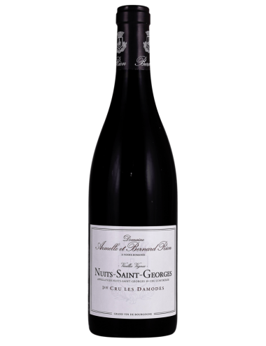 Vin Domaine Armelle et Bernard Rion Nuits-Saint-Georges 1er Cru les Damodes 2020 Rouge