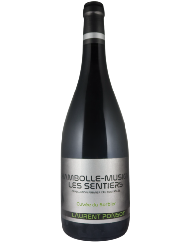 Vin Laurent Ponsot Chambolle-Musigny 1er cru Les Sentiers Cuvée du Sorbier 2019 Rouge