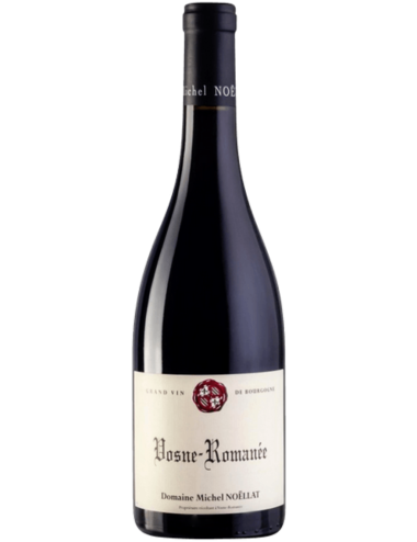 Vin Domaine Michel Noëllat Nuits-Saint-Georges 2021 Rouge