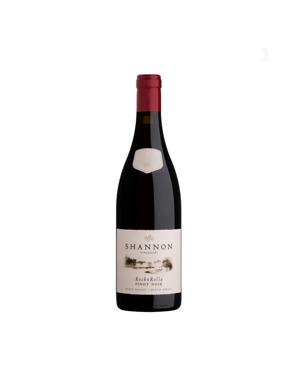 Rocknrolla Pinot Noir 2020 Shannon - Afrique Du Sud