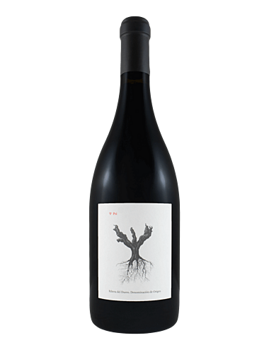 Wine Dominio de Pingus Ribera del Duero PSI 2020 Red