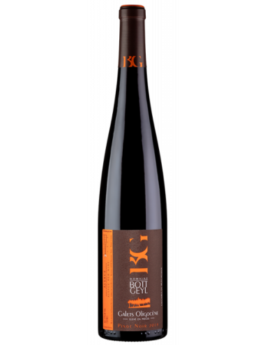 Wine Domaine Bott-Geyl Bourgogne Oligocene 2018 Red