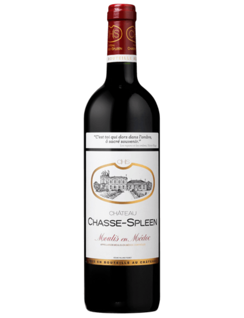 Wine Château Chasse-Spleen Double Magnum 2020 Red