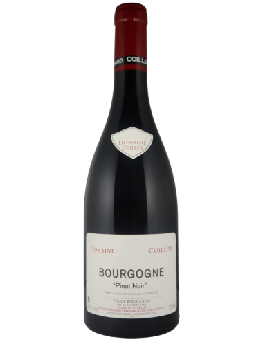 Wine Domaine Coillot Bourgogne Pinot Noir 2018 Red