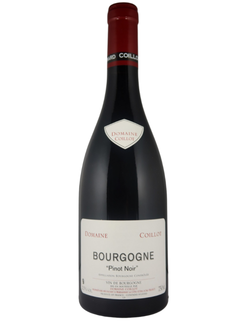 Wine Domaine Coillot Bourgogne Pinot Noir 2018 Red