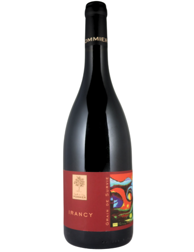 Wine Domaine Isabelle et Denis Pommier Irancy Grain de Survie 2020 Red