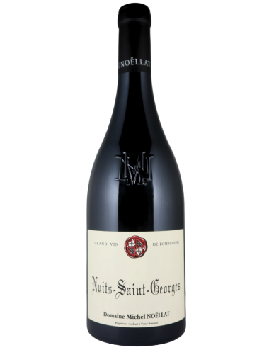 Wine Domaine Michel Noëllat Nuits-Saint-Georges 2019 Red
