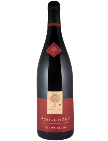 Wine Domaine Isabelle et Denis Pommier Bourgogne Pinot Noir 2022 Red