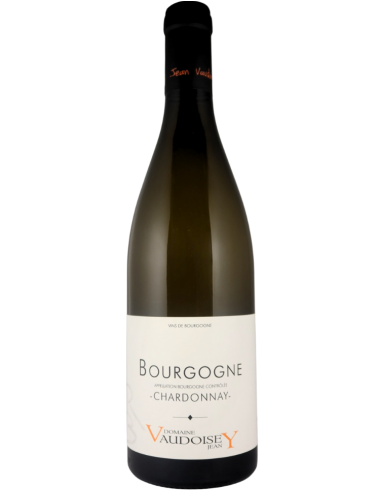 Wine Domaine Jean Vaudoisey Bourgogne Chardonnay 2022 White