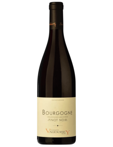 Wine Domaine Jean Vaudoisey Bourgogne Pinot Noir 2022 Red
