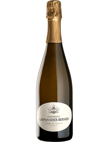 Wine Champagne Larmandier-Bernier Terre de Vertus Premier Cru Brut Nature  White