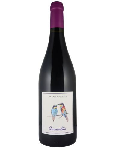 Wine Terres des 2 Sources Amourettes Saint Guilhelm le Desert 2022 Red