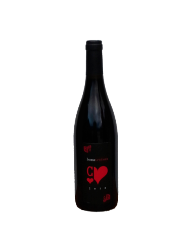 Wine Mas de la Séranne Terrasses du Larzac Bonaventura 2019 Red