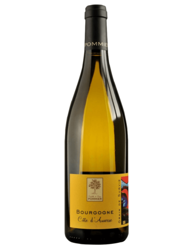 Wine Domaine Yannick Amirault Bourgueil Les Quartiers 2018 Red