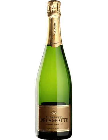 Champagne Delamotte Brut Etui