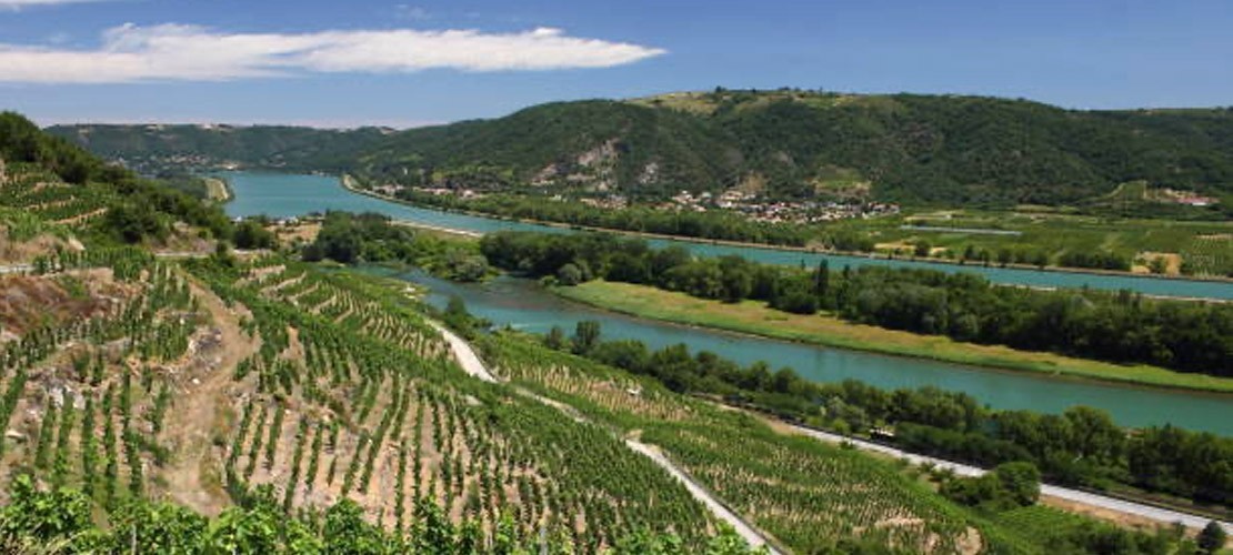 Vins Vallée du Rhône